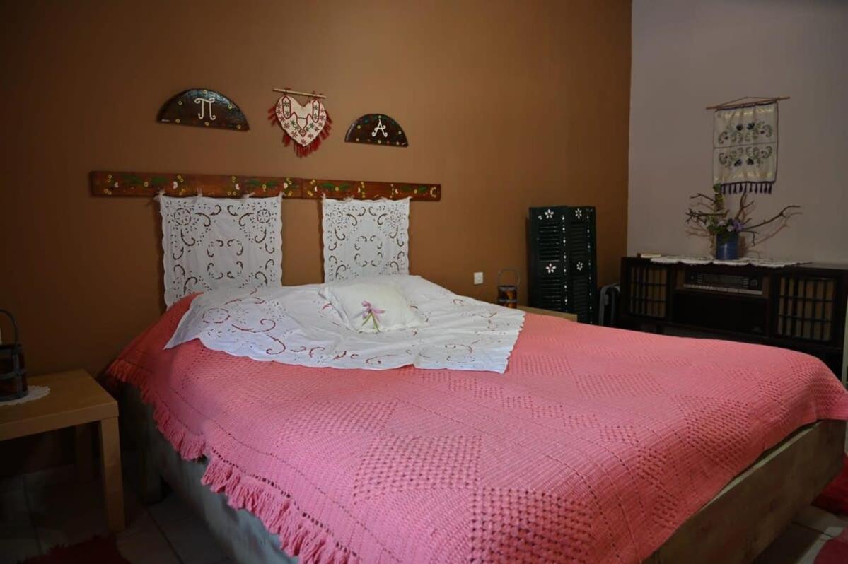 Kalavrita Winter Retreat - Homely Spacious Chalet Ano Vlasia Exterior photo